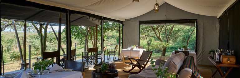 Basecamp Wilderness Lounge Tent