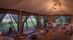 Basecamp Wilderness Sitting Area