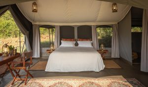 Basecamp Wilderness Tent Interior