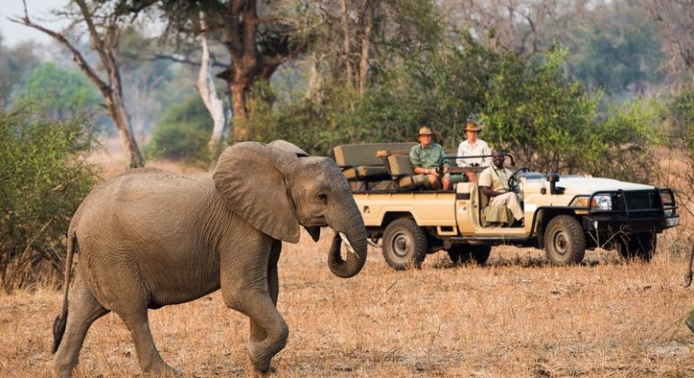 Kujana Camp Game Drive