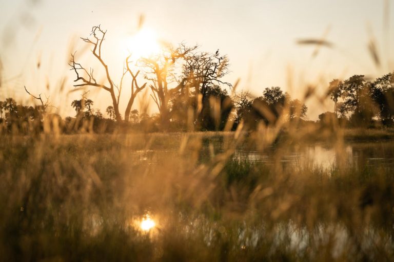 Singita Elela Safari Lodge Water Pan