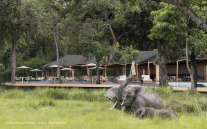 Wilderness Mara Tents