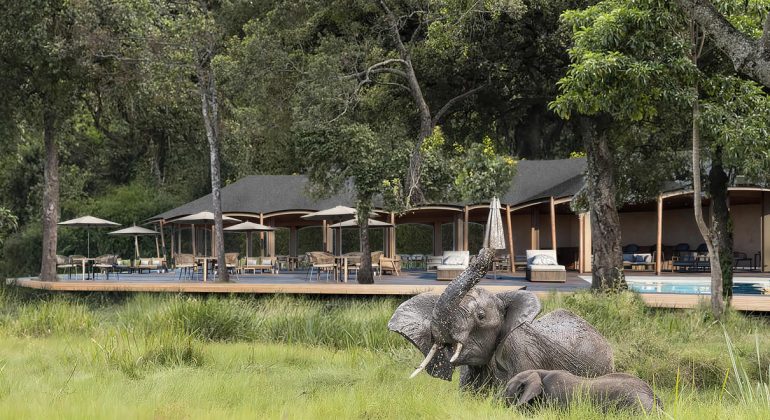 Wilderness Mara Tents