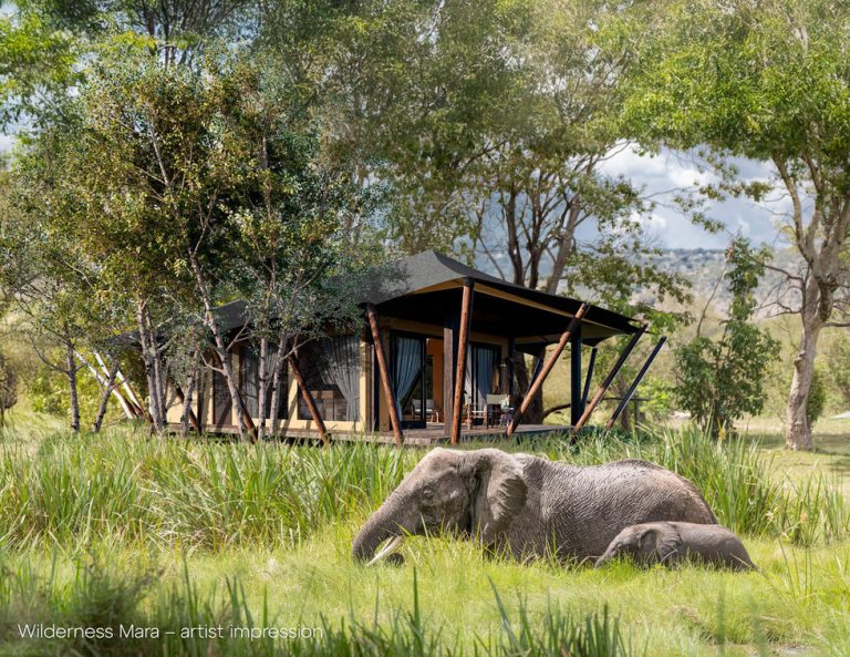Wilderness Mara View