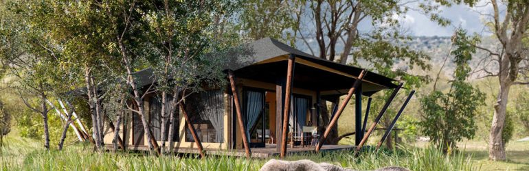 Wilderness Mara View