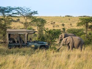 Mara Nyika Camp