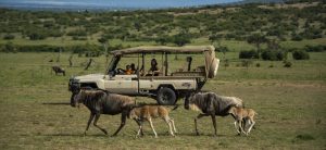 Smita’s Wild Kenya: Into the Mara Less Travelled
