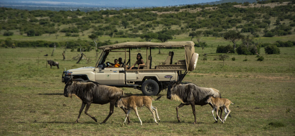 Smita’s Wild Kenya — Into the Mara Less Travelled