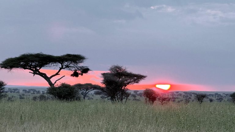 Dramatic sky over the Serengeti plains
