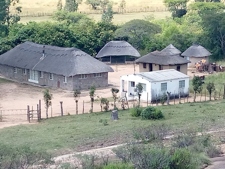 A traditional rural Zimbabwean homestead with thatched rondavels